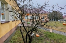 Ptasia stolowka w wykonaniu dzieci z gr. V