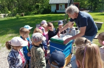 Przedszkolaki na wycieczce w ramach Dnia Pszczoly