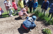 Zagospodarowane przedszkolnego ogrodka w ramach akcji Posadz roslinke