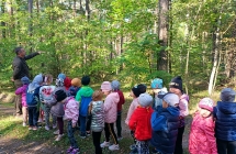 Dzieci obserwuja las, jego budowe oraz lesne zwierzeta