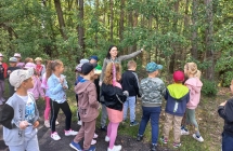 Dzieci podczas spaceru po lesie