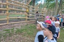 Dzieci obserwuja zwierzeta w zagrodzie wolnosciowej