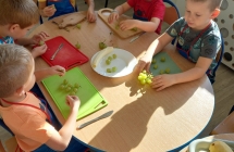 gr. V Szaszlyki owocowe - przygotowujemy owoce