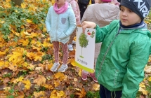 gr. V wycieczka do parku - szukamy znanych nam drzew w parku