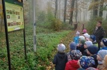 gr. V wycieczka do parku - ogladamy tablice informacyjna o grzybach