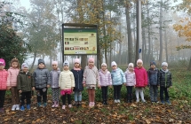 dzieci poznaja roslinnosc parku