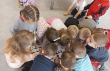 Trzylatki ogladają wzorniki.