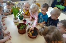 Kilkunastu dzieci sadzi roślinki 