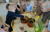Kilkunastu dzieci sadzi rośliny 