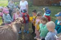 gr. IV i koziol