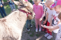 Dzieci karmia osiolka