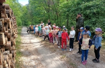 Dzieci w lesie - pogadanka nt. wykorzystania drewna