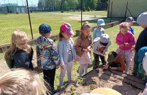 Dzieci sadza roslinki na przedszkolna rabate