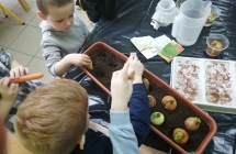 11 Zaczarowany ogrod