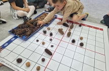 3 Drewnianki kodowanki