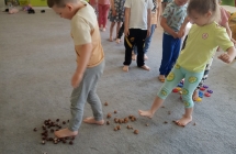 gr. IV cwiczenia sensoryczne