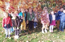 Leca na glowe liscie kolorowe gr. IV