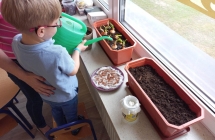 gr. V projekt - nasz ogrodek na parapecie