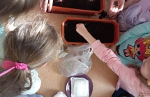 gr. V projekt - dzieci sadza i sieja rosliny