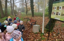 gr. V projekt - nauczanie outdoorowe w parku