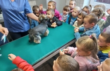 Dzieci podczas wizyty w gabinecie wterynarza.