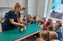 Dzieci z gr. III obserwuja badanie pieska przez p. doktor.