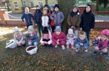 dzieci z gr IV zbieraja kasztany