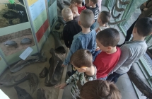 dzieci ogladaja kosci mamuta w muzeum