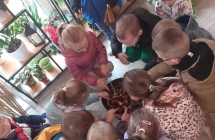 Z wizyta w kwiaciarni, dzieci ogladaja kwiaty (3)