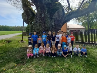 dzieci przy debie Bartek w Kotwasicach