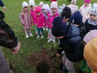 Dzieci wyszukuja odpowiedniego miejsca do posadzenia drzewka