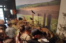 Przedszkolaki w muzeum ogladaja okazy dziko zyjacych zwierzat