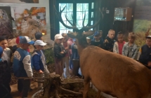 dzieci w Izbie Edukacyjnej ogladaja okazy zwierzat (1)
