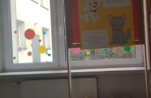 Wspomoz psiaka badz kociaka - zbiorka karmy dla zwierzat ze schroniska