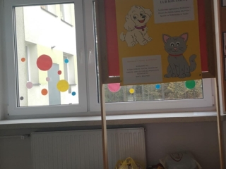 Wspomoz psiaka badz kociaka - zbiorka karmy dla zwierzat ze schroniska