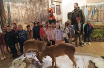 dzieci z grupy Ix ogladaja eksponaty zwierzat lesnych