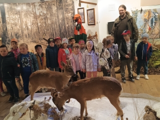 dzieci z grupy Ix ogladaja eksponaty zwierzat lesnych