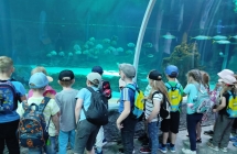 dzieci na wycieczce w zoo (8)