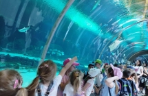 dzieci na wycieczce w zoo (2)