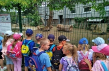 dzieci na wycieczce w zoo (7)
