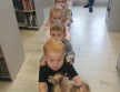poci¦ug po bibliotece