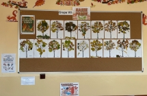 Galeria prac plastycznych dzieci