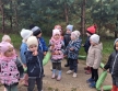 Sowki znalazly grzyby na lesnej wycieczce