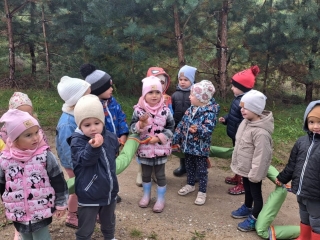 Sowki znalazly grzyby na lesnej wycieczce