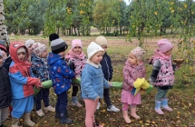 Sowki podziwiaja zmiany zachodzace w przyrodzie jesienia w lesie