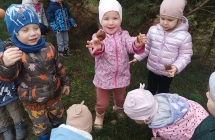 dzieci zbieraja grzyby