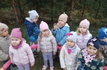 dary jesieni w lesie