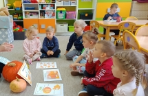 Budowa i rodzaje dyni - grupa X