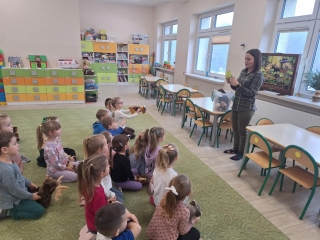 Dziei sluchaja odglosow ptakow