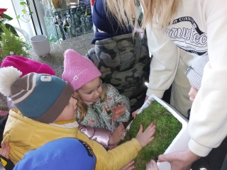 5. Dzieci dotykaj¦u mchu.